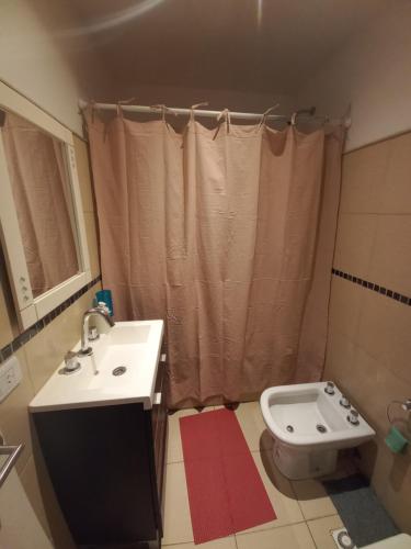 a bathroom with a sink and a toilet at APART OTERO in Ushuaia