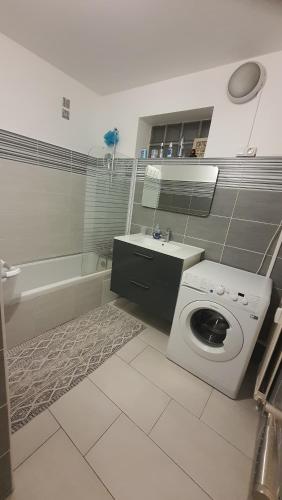 bagno con lavatrice e lavandino di Appartement Spacieux Proche Mer a Antibes
