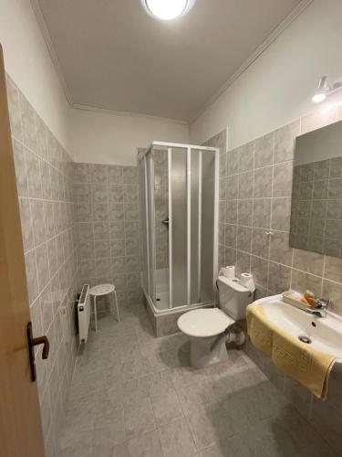 a bathroom with a toilet and a shower and a sink at Hotel Na Závisti in Kozojedy