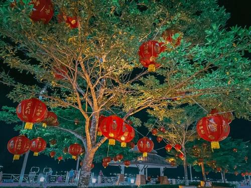 a tree with red lanterns in front of a house at The Harbour Front Hotel in Suratthani