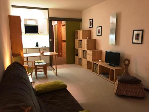 ein Wohnzimmer mit einem Sofa und einem TV in der Unterkunft Studio Villard-de-Lans, 1 pièce, 4 personnes - FR-1-689-60 in Villard-de-Lans