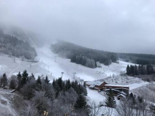 eine Skilodge auf einer schneebedeckten Piste mit Bäumen in der Unterkunft Studio Villard-de-Lans, 1 pièce, 4 personnes - FR-1-689-60 in Villard-de-Lans