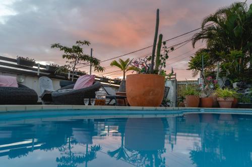 uma piscina com cadeiras e plantas ao lado em Le Coin d'Azur em Petite Île