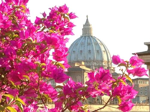 a bunch of pink flowers in front of a dome at Hotel dei Consoli Vaticano in Rome