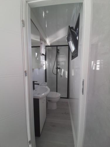 a white bathroom with a toilet and a sink at Hausboote Unteres Odertal Hausboot Seeadler in Schwedt