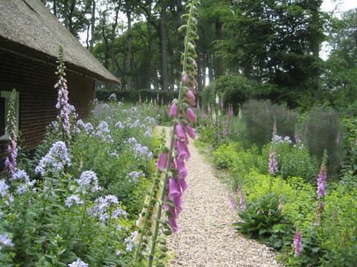 a garden with purple flowers and a gravel path at Landgoedhoeve Vosbergen in Heerde