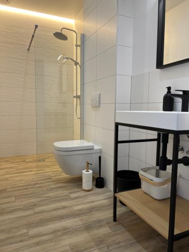 a bathroom with a shower and a toilet and a sink at Apartamenty HELIOS in Jastrzębia Góra