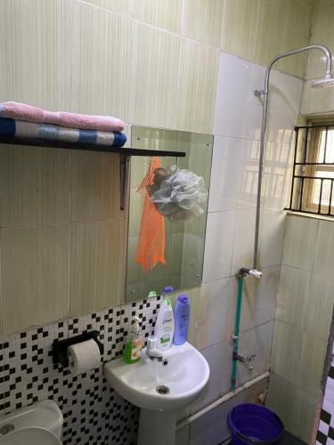 y baño con lavabo y ducha. en NUMBERS FLIPPERS SERVICES Apartment, en Ikeja