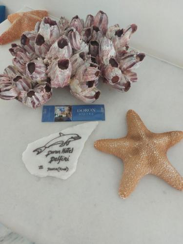 two starfish on a table next to a star fish at Doron Hotel Delfini in Naxos Chora