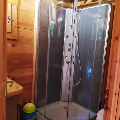 une douche avec une porte vitrée dans une salle de bain dans l'établissement CHALET Meleze Etapeboisee, à Fumay