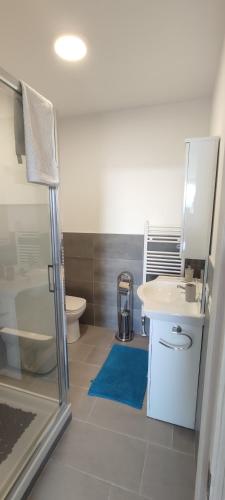 a bathroom with a sink and a toilet and a shower at Nautica Tarello - Casa Ena BeB in Viverone