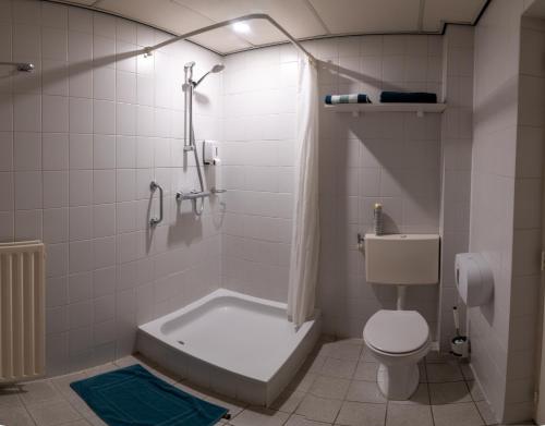 a bathroom with a tub and a toilet and a shower at Hotel de Zwaan in Schoondijke
