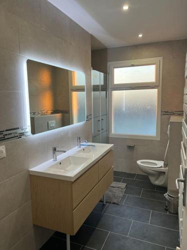 une salle de bain avec un lavabo et des toilettes dans l'établissement Maison Rénovée Aux Portes Du Circuit Des 24h, à Mulsanne