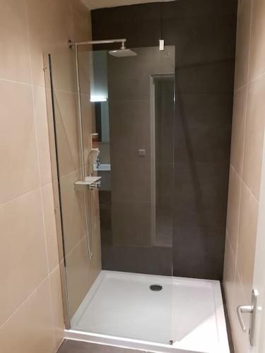une douche avec une porte vitrée dans une salle de bain dans l'établissement Bel appartement à Bastide St Louis, à Carcassonne