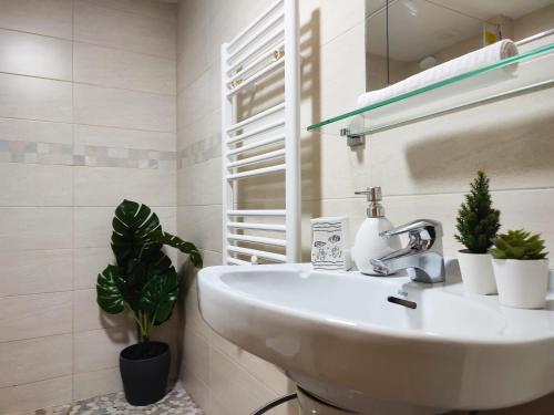 a white sink in a bathroom with potted plants at Duplex Holidays Andorra in Pas de la Casa