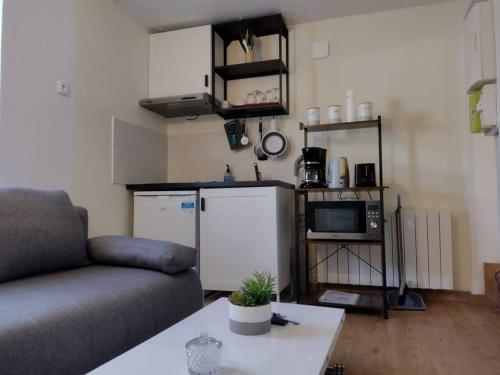 un salon avec un canapé et une cuisine dans l'établissement Le reposant - parking box -24 h Le Mans - Le Mans Classic-GP-Oasis - Antarès - Parc des expositions, au Mans