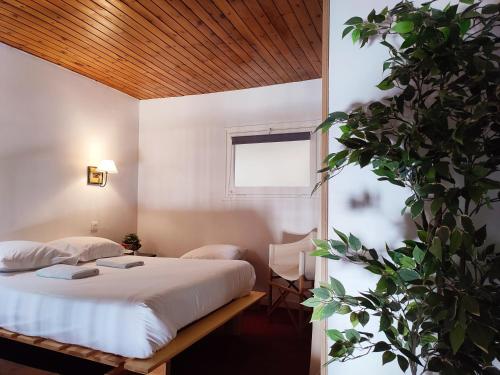 - une chambre avec un lit et une plante en pot dans l'établissement Duplex Holidays Andorra, au Pas de la Case