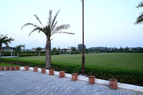 a palm tree and a street light in a park at Ramada Plaza by Wyndham Jammu Vijaypur in Jammu