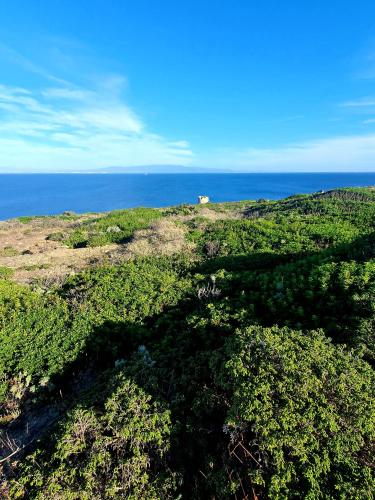 Φυσικό τοπίο κοντά σε αυτό το bed & breakfast