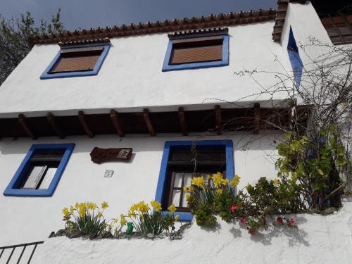 a white house with blue windows and flowers at Casa El Olivo by CasaTuristica in Benalauría