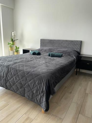 a bed with a gray comforter and two pillows on it at Brzostek Apartamenty 1 in Warsaw