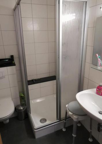een douche in een badkamer met een wastafel en een toilet bij Haus Sieben Wohnung 1 Roonstraße 3 in Norderney