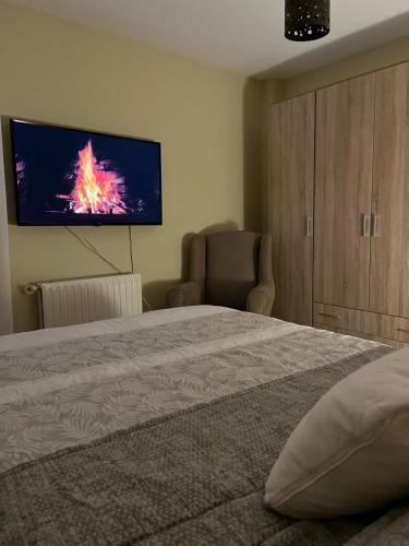 a bedroom with a bed and a flat screen tv at La Playina in Cangas de Onís