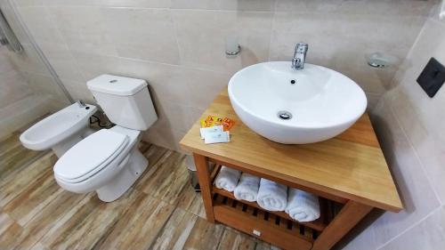 a bathroom with a sink and a toilet at Las Victorias Suites Bariloche in San Carlos de Bariloche