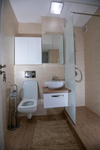 a bathroom with a toilet and a sink and a mirror at Apartament CENTRAL in Târgu Jiu