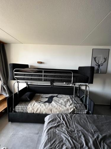 1 dormitorio con 2 literas en una habitación en Superbe studio Anzère, rénové, au pied des pistes, en Anzère