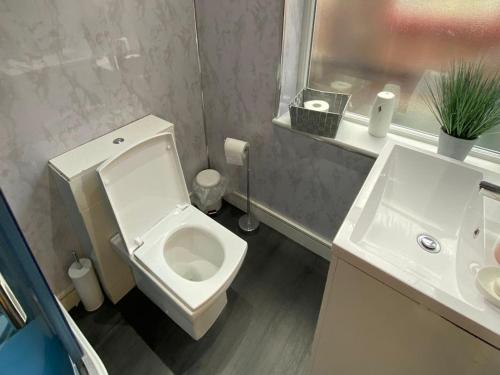 a bathroom with a white toilet and a sink at New York Apartment in Heeley