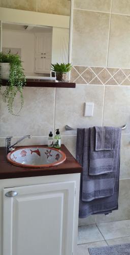 Φωτογραφία από το άλμπουμ του Froggy Farm Self Catering σε Simonʼs Town