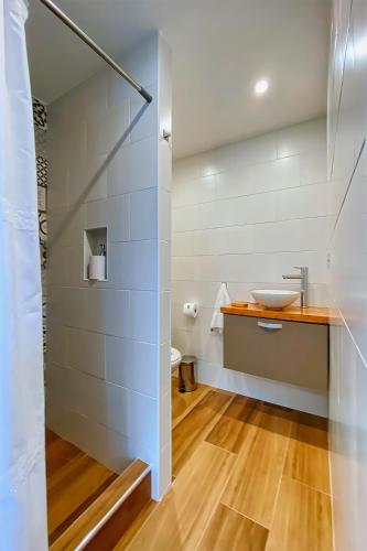 a bathroom with a sink and a toilet at APARTS LA FARFALLA in El Chalten