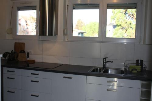 kuchnia ze zlewem i 2 oknami w obiekcie Superb Apt- Garden- 3 parkings, near Petite Venise ! w mieście Colmar
