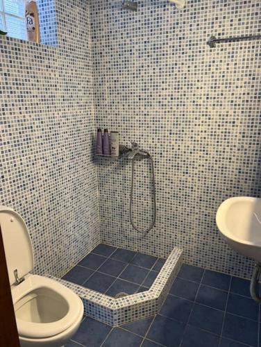 a bathroom with a shower and a toilet and a sink at Villa Maria-Stunning Villa in Porto Hydra in Thermisía