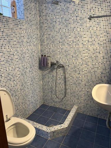 a bathroom with a shower and a toilet and a sink at Villa Maria in Thermisía