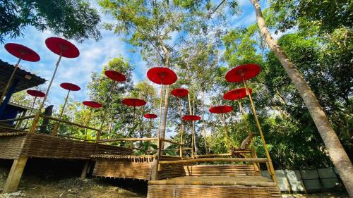 a bunch of red umbrellas hanging from trees at ฮักฮิมเกี๋ยน รีสอร์ท น่าน Hug Him Kien in Nan