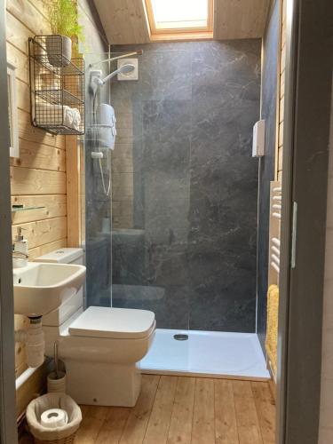 a bathroom with a shower and a toilet and a sink at Number 15 Frome in Frome