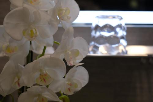 a bunch of white flowers with a glass vase in the background at LeNotti Verona in Verona