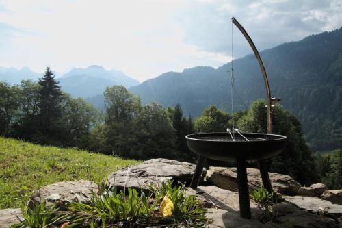 a bath tub sitting on top of a mountain at Heidi Chalet in Rossinière
