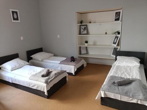 a room with three beds in a room at Pokoje pod Świerkiem in Swarzędz