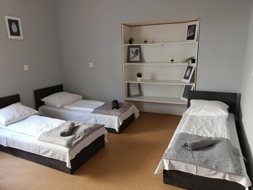 une chambre avec trois lits et une étagère dans l'établissement Pokoje pod Świerkiem, à Swarzędz
