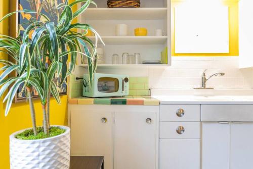 uma cozinha com uma planta num vaso ao lado de um lavatório em Large funky 2 or 3 bedroom unit in prime location em Seattle