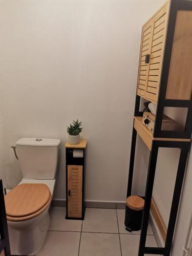 a bathroom with a toilet and a wooden ladder at L'écho des Vagues in Saint-Pierre