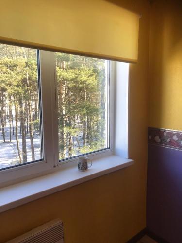 a window with a coffee mug sitting on a window sill at Cosy Appartment. Püssi town in Pyussi