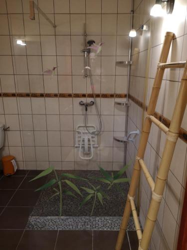 a bathroom with a shower with a plant in it at Domaine de la Borde in Damparis