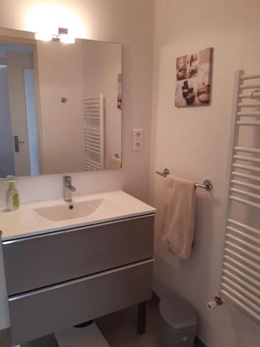 une salle de bain avec un lavabo et un miroir et des toilettes dans l'établissement Logement calme et authentique à Espelette, à Espelette