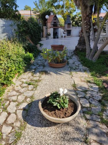 Scalo dei Saraceni ManfredoniaにあるVilla Lucyの鉢植えの鉢植え