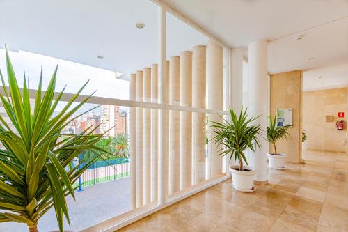 SAN REMO Levante beach apartments photo 43