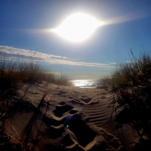 a sandy beach with the sun in the sky at High Falls Motel & Cabins in Wawa
